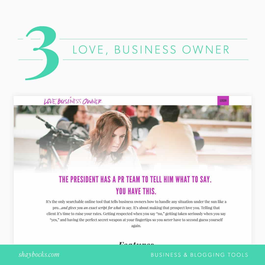 Love, Business Owner