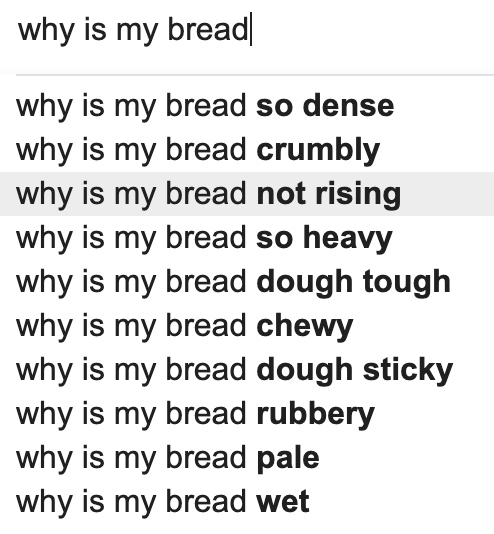 "why is my bread" google searches