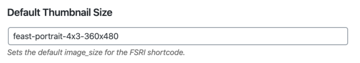 Setting in the Feast plugin to set the default image_size