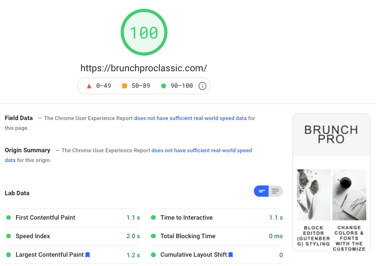 brunchproclassic.com pagespeed score 100/100