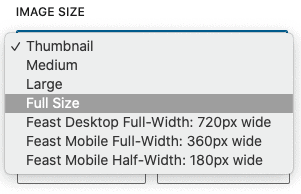 wordpress interface to change image size